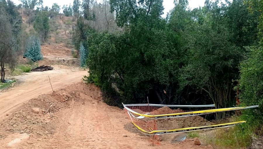 Denuncia de destrucción de bosque nativo en Villa Alemana: Esval explica que faena sólo afectó a "una especie arbórea"