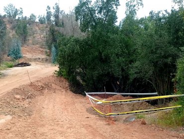 Denuncia de destrucción de bosque nativo en Villa Alemana: Esval explica que faena sólo afectó a "una especie arbórea"