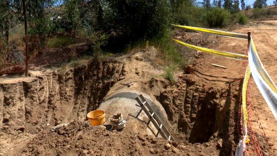 Denuncian que faenas de Esval arrasaron con bosque nativo del Parque La Reserva de Villa Alemana