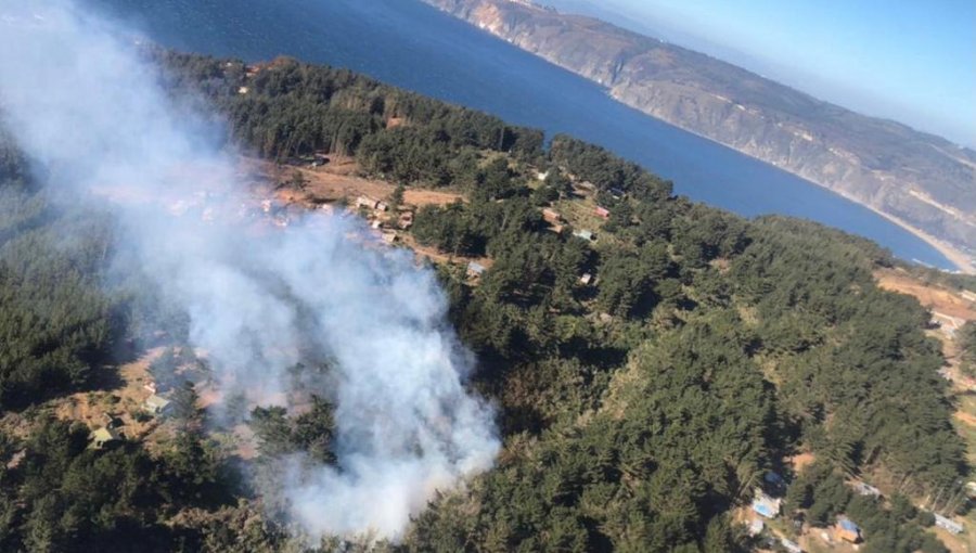 Conaf y Bomberos controlaron incendio forestal en localidad porteña de Laguna Verde