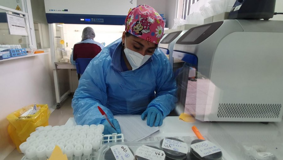 50 mil exámenes PCR ha procesado el Laboratorio de Biología Molecular de Quillota en un año de funcionamiento