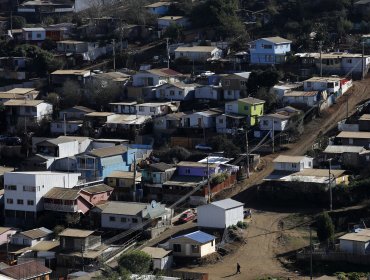 Proponen entregar comodato a comunidad viñamarina para proteger terrenos con áreas verdes y zonas naturales