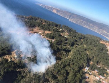 Conaf y Bomberos controlaron incendio forestal en localidad porteña de Laguna Verde
