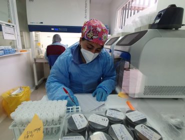 50 mil exámenes PCR ha procesado el Laboratorio de Biología Molecular de Quillota en un año de funcionamiento