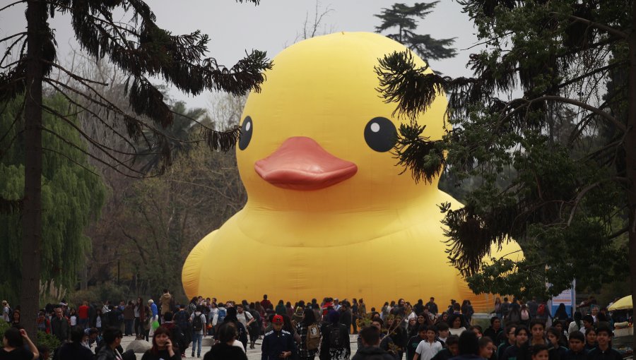 Festival Hecho en Casa vuelve con el «Pato de Hule» y otras obras gratuitas