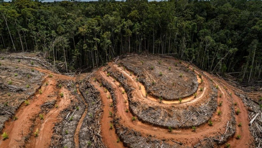 Estudio reveló los cinco países que más han contribuido históricamente al calentamiento global