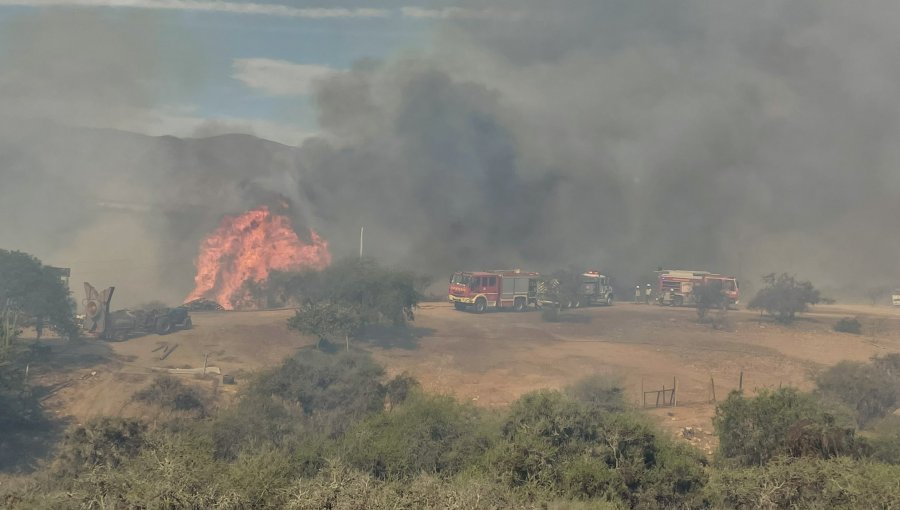 Al menos 10 hectáreas han sido consumidas por incendio forestal en Punitaqui: decretan Alerta Roja