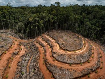 Estudio reveló los cinco países que más han contribuido históricamente al calentamiento global