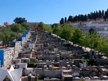 Cementerio de Viña del Mar implementa plan especial para el «Día de Todos los Santos»
