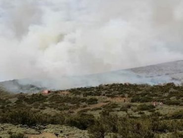 Incendio forestal afecta al menos a 3 hectáreas en sector Pedregoso de Lonquimay