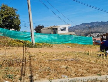 Denuncian intento de toma en Miraflores Alto en Viña del Mar: Vecinos acusan que se trataría de narcotraficantes