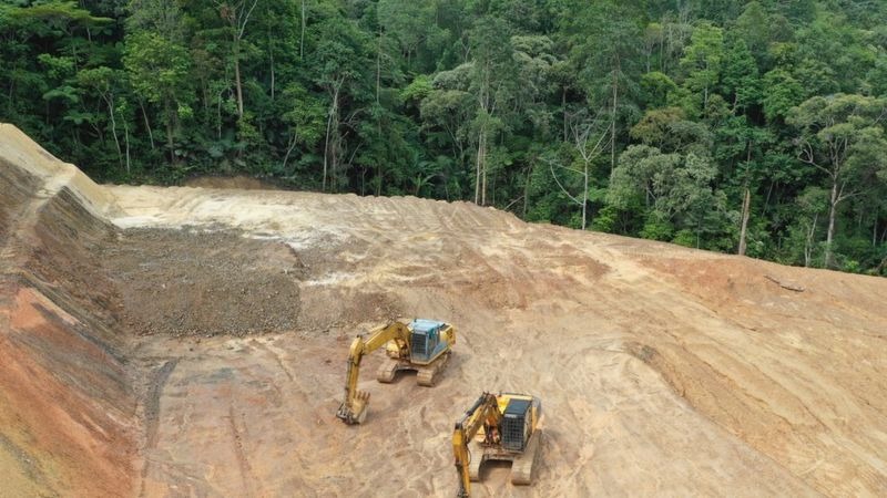 COP26: Líderes mundiales se comprometen a acabar con la deforestación y reducir en 30% las emisiones de metano para 2030