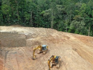 COP26: Líderes mundiales se comprometen a acabar con la deforestación y reducir en 30% las emisiones de metano para 2030