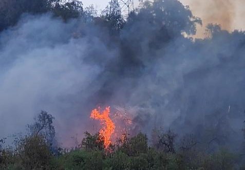 Incendio afecta a la ladera sur del Cerro San Cristóbal: suspenden funcionamiento del teleférico