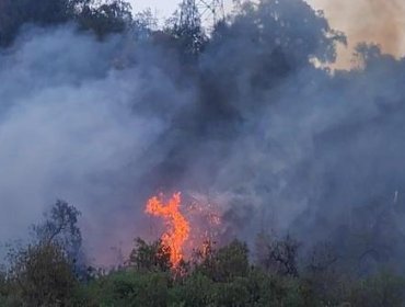 Incendio afecta a la ladera sur del Cerro San Cristóbal: suspenden funcionamiento del teleférico