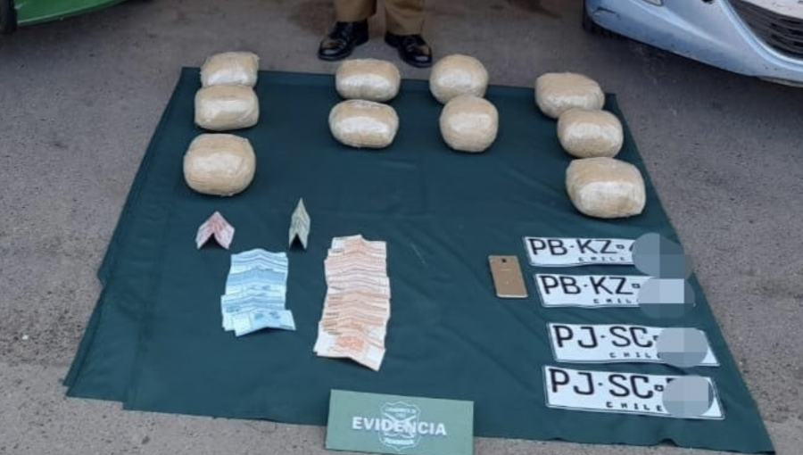 Control policial permite incautar más de 11 kilos de marihuana y detener a tres personas en La Ligua