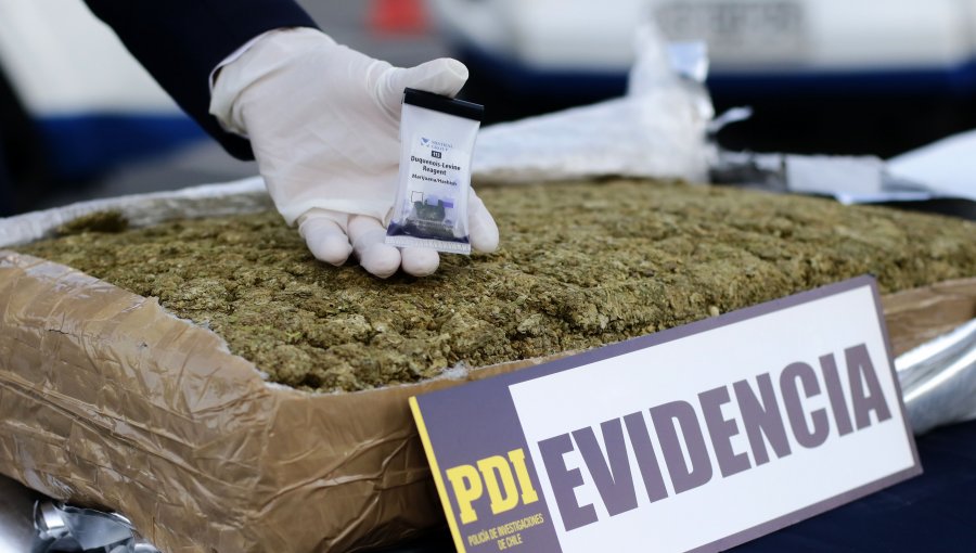 PDI incautó más de una tonelada de cannabis que ingresó como supuesto "fertilizante" desde México