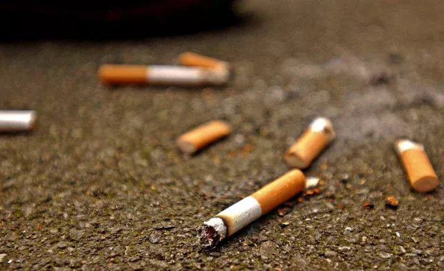«El planeta no es cenicero»: Destacan avances del proyecto que sanciona a quienes botan colillas de cigarro en la vía pública