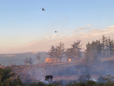 Ocho hectáreas de vegetación ha consumido el incendio forestal en Laguna Verde: se mantiene la Alerta Roja en Valparaíso