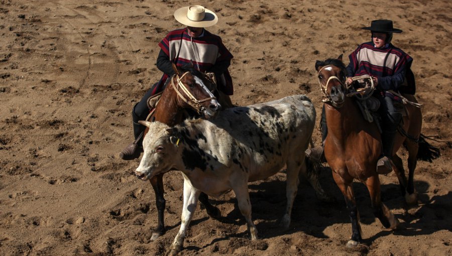 Presupuesto 2022: Cámara de Diputados aprueba destinar recursos del Fondo Nacional para la promoción del rodeo