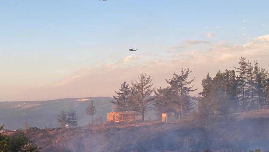 Ocho hectáreas de vegetación ha consumido el incendio forestal en Laguna Verde: se mantiene la Alerta Roja en Valparaíso