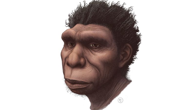 Homo bodoensis: La nueva especie que un grupo de científicos considera "el ancestro directo de los humanos"