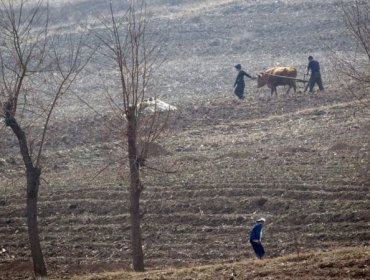 La hambruna que se cierne sobre Corea del Norte y que puede ser la peor en décadas