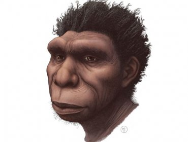 Homo bodoensis: La nueva especie que un grupo de científicos considera "el ancestro directo de los humanos"