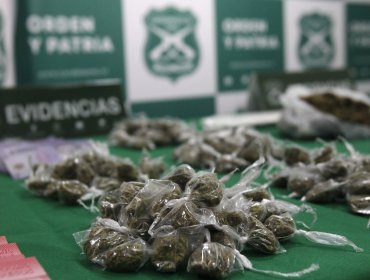Detienen a ocho personas pertenecientes a clan familiar que traficaba diversas drogas en Puente Alto