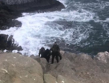 Rescatan con vida a mujer que se lanzó al mar en Iquique