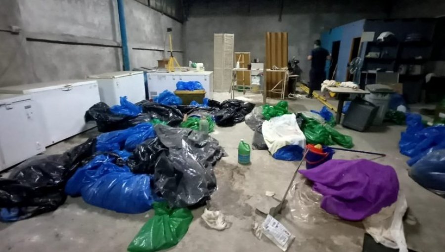 Descubren crematorio clandestino con 70 cuerpos de mascotas en La Cisterna: Vecinos denunciaron fuerte olor a descomposición