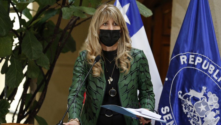 Presidenta del Senado y la violencia en la Macrozona Sur: "No se arregla con Estado de Excepción"
