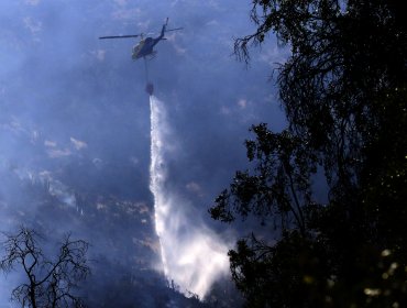 Controlan incendio forestal que afectó al cerro Manquehue: 7,5 hectáreas fueron consumidas