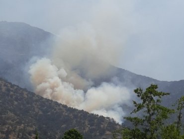 Incendio forestal afecta a ladera del cerro Manquehue: no presenta peligro de propagación a lugares poblados