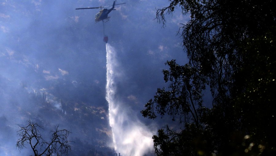 Controlan incendio forestal que afectó al cerro Manquehue: 7,5 hectáreas fueron consumidas