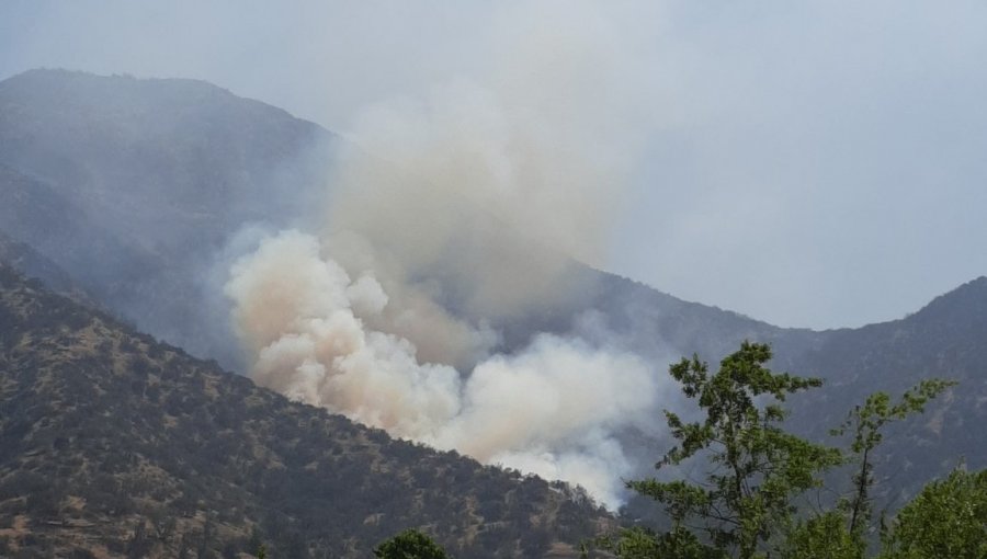 Incendio forestal afecta a ladera del cerro Manquehue: no presenta peligro de propagación a lugares poblados