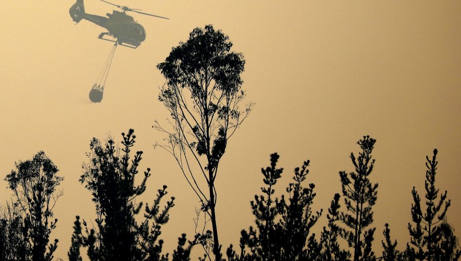 Decretan Alerta Roja en Litueche por incendio forestal: Hay casas en riesgo