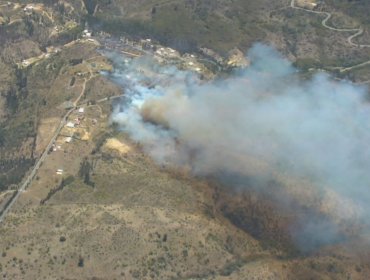Declaran Alerta Roja por incendio forestal en Cartagena: se encuentra cercano a viviendas