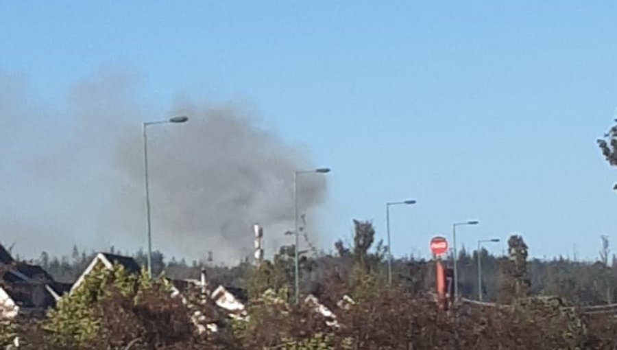 Incendio forestal afecta sector del camino La Pólvora en Placilla: se registra fuerte viento en el lugar