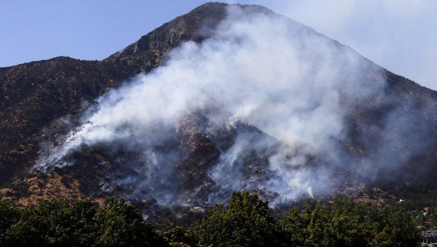 Decretan Alerta Roja por incendio forestal en cerro Manquehue: 10 hectáreas han sido consumidas
