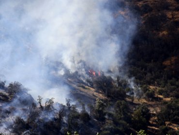 Más de 26 hectáreas ha consumido el incendio forestal en el cerro Manquehue de Vitacura