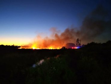 Incendio afecta el humedal Paicaví de Concepción y provoca desastre ecológico