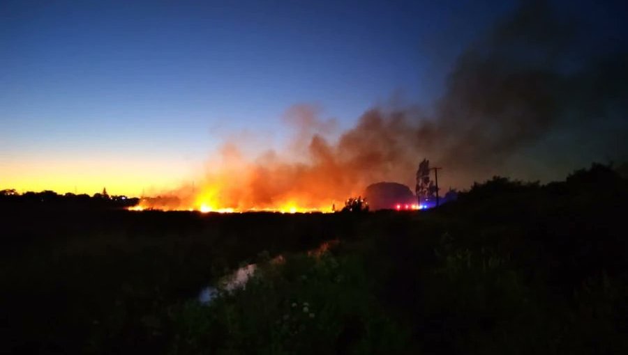 Incendio afecta el humedal Paicaví de Concepción y provoca desastre ecológico