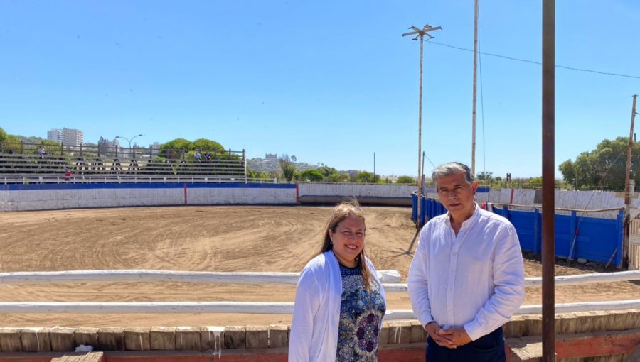 Proponen la creación de un Centro de Hipoterapia para niños con autismo en Concón