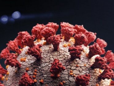 Identifican en Sudáfrica una nueva variante del coronavirus con “múltiples mutaciones”