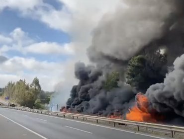Camión cargado con petróleo resulta completamente quemado tras accidente y posterior incendio en ruta de Ercilla