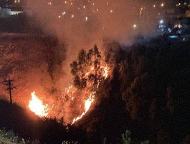 Incendio afecta a sector del cerro Placeres de Valparaíso: se queman pastizales en quebrada