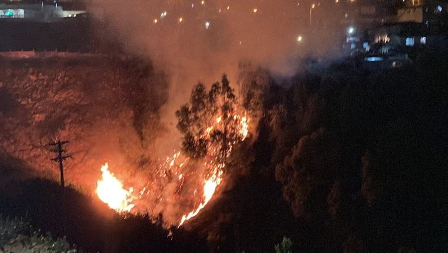 Incendio afecta a sector del cerro Placeres de Valparaíso: se queman pastizales en quebrada
