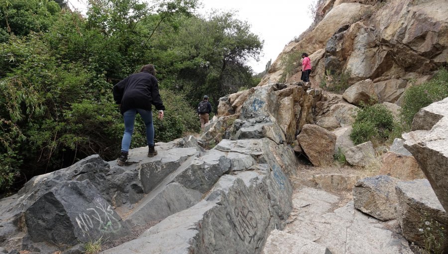 Estero de Reñaca en vías a ser «Humedal Urbano»: el historial de acciones para proteger este sitio que Ripamonti intenta adjudicarse como de su gestión