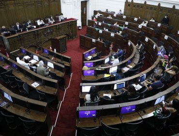 Parlamentarismo o Presidencialismo: Convencionales iniciaron exposiciones sobre qué régimen político es el que prefieren para Chile